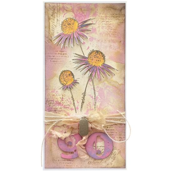 Krásné přáníčko s léčivou bylinkou Echinacea (Třapatkovka nachová)