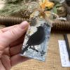 Obrázek Jmenovka na dárek (malá) Ptáček 5