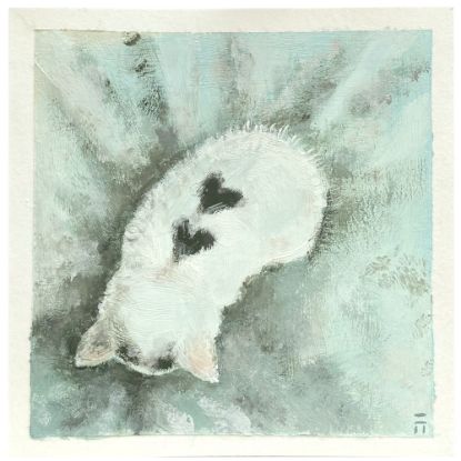 Obrázek Přání do obálky série Srdce - Kotě 3