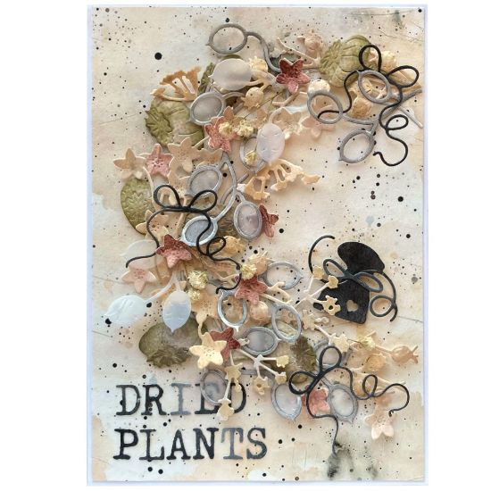 Přání s kyticí sušených rostlin