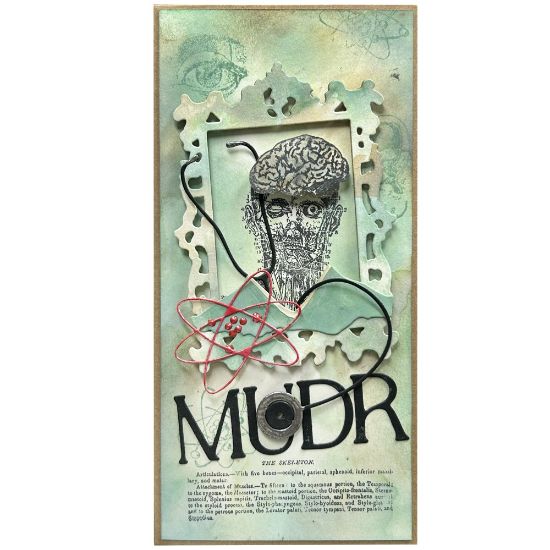 Obrázek Přání k promoci MUDr. Neurolog